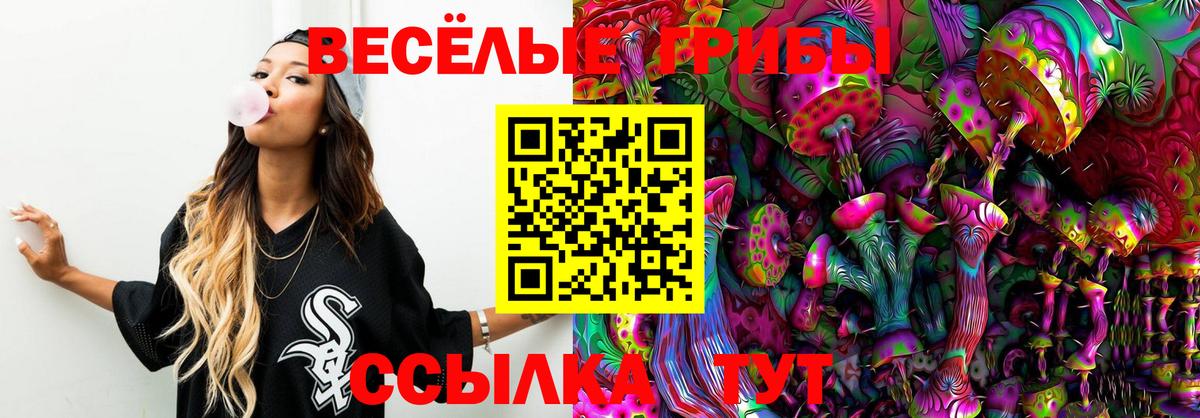 Киров  Галлюциногенные грибы мухоморы  Вход с VPN  Галлюциногенные грибы GOLDEN TEACHER 